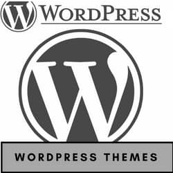 Wordpress Themes for Authors 